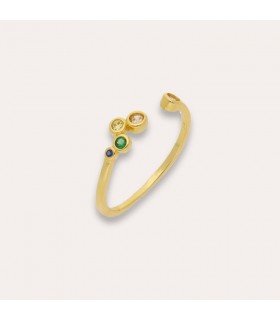 Anillo Roma Baño Oro