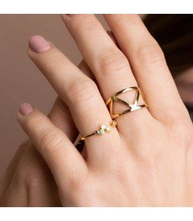 Anillo Roma Baño Oro