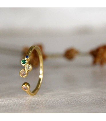 Anillo Roma Baño Oro